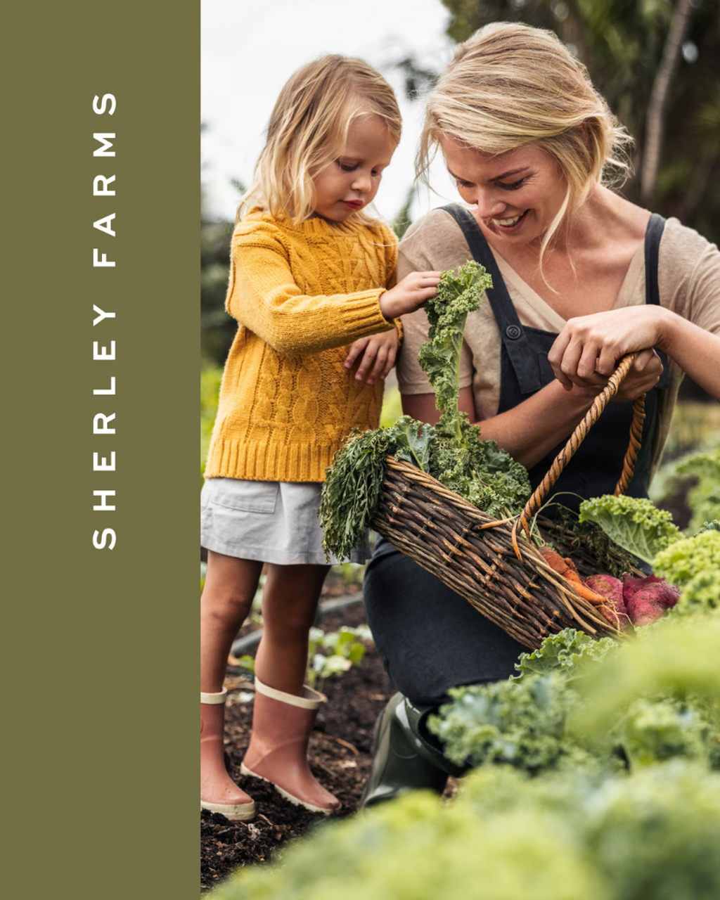 Home - Sherley Farms