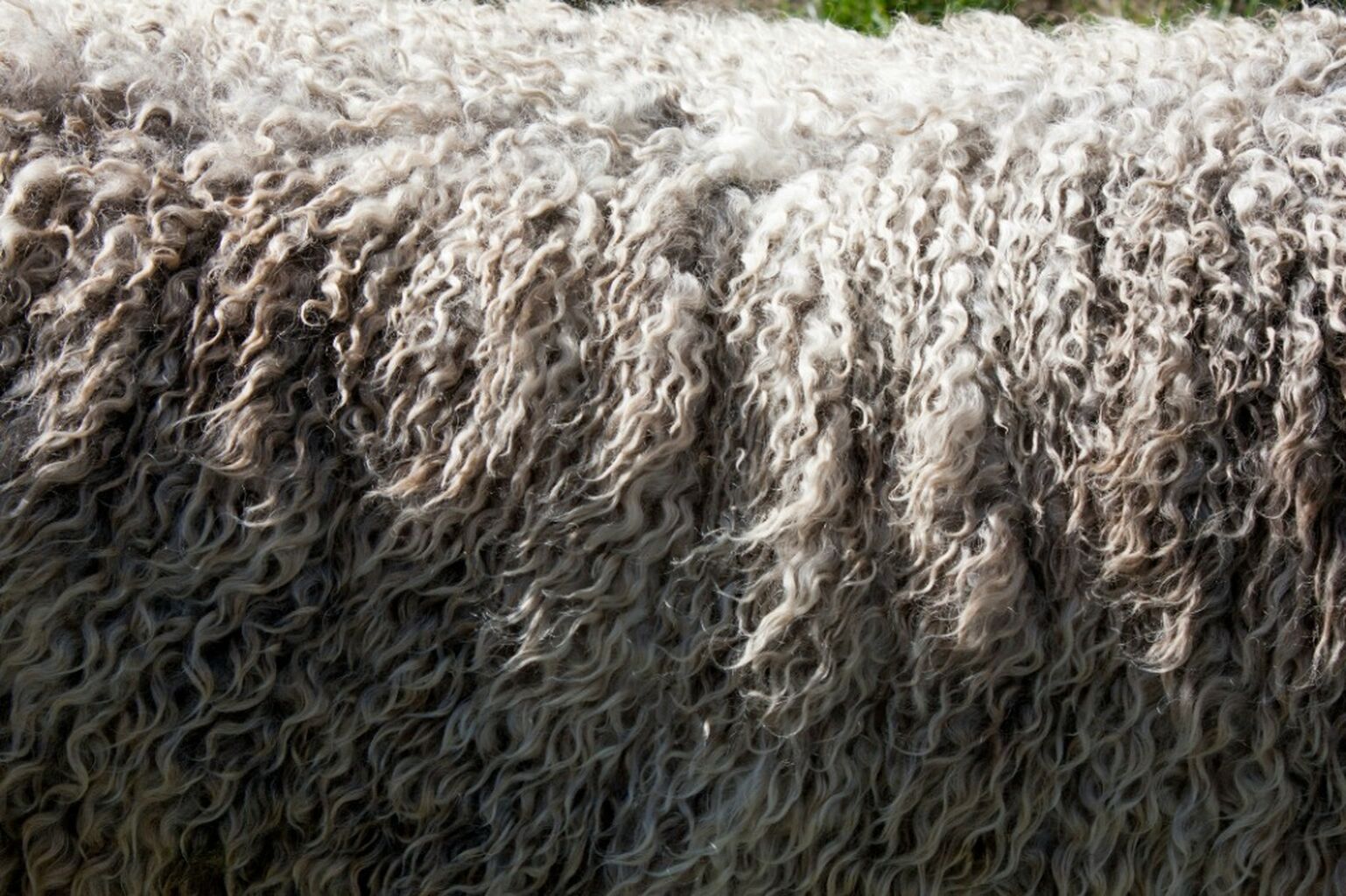 Wool, Fur, and Hair Upcycling in Agriculture