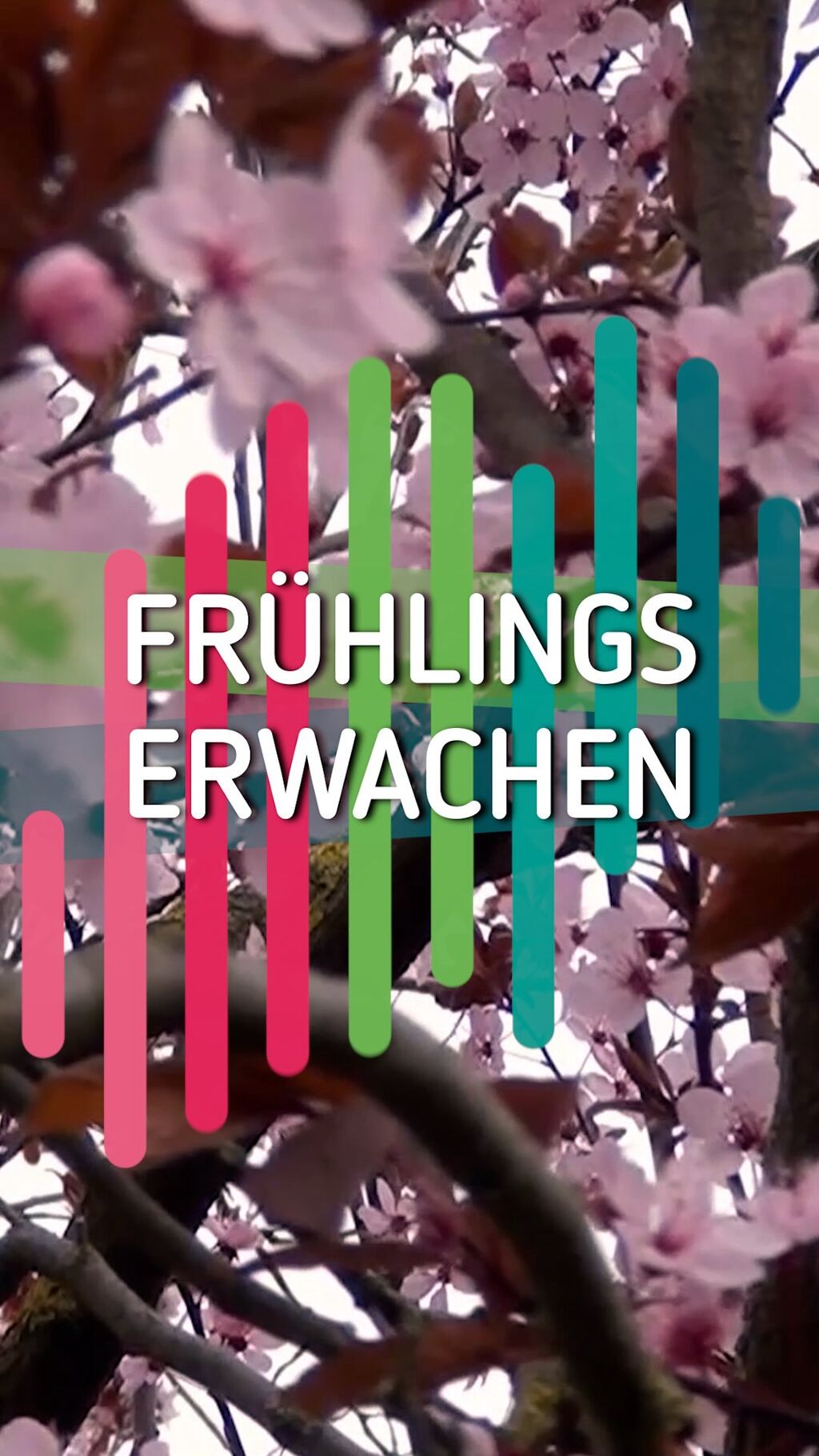 Osterprogramm 2026 bei NRWision