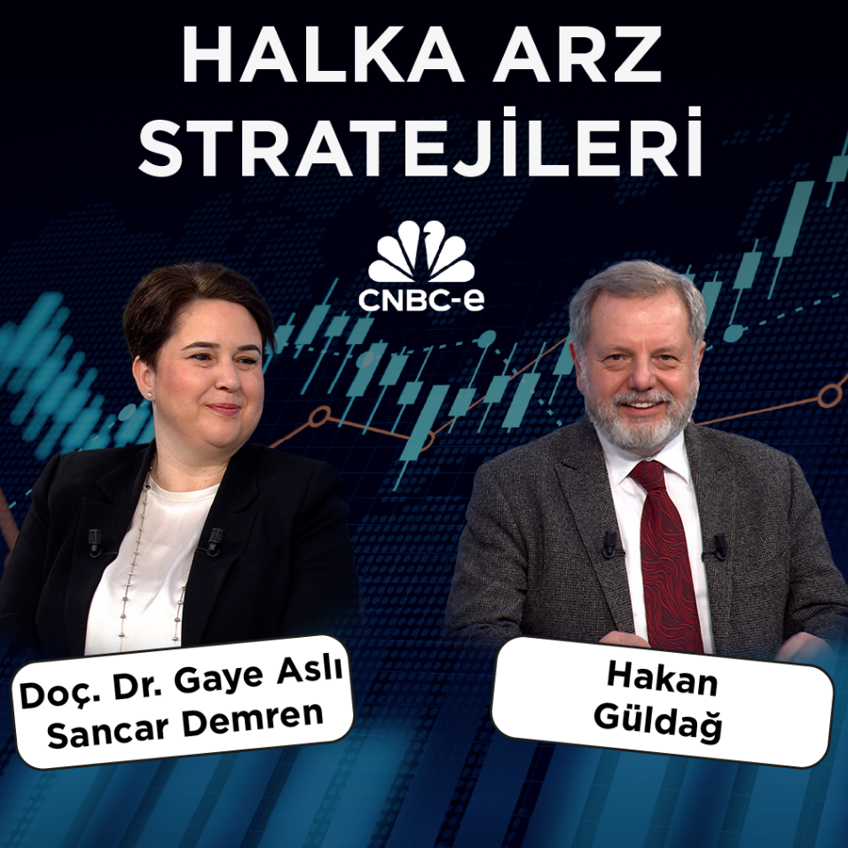 Halka arz stratejileri