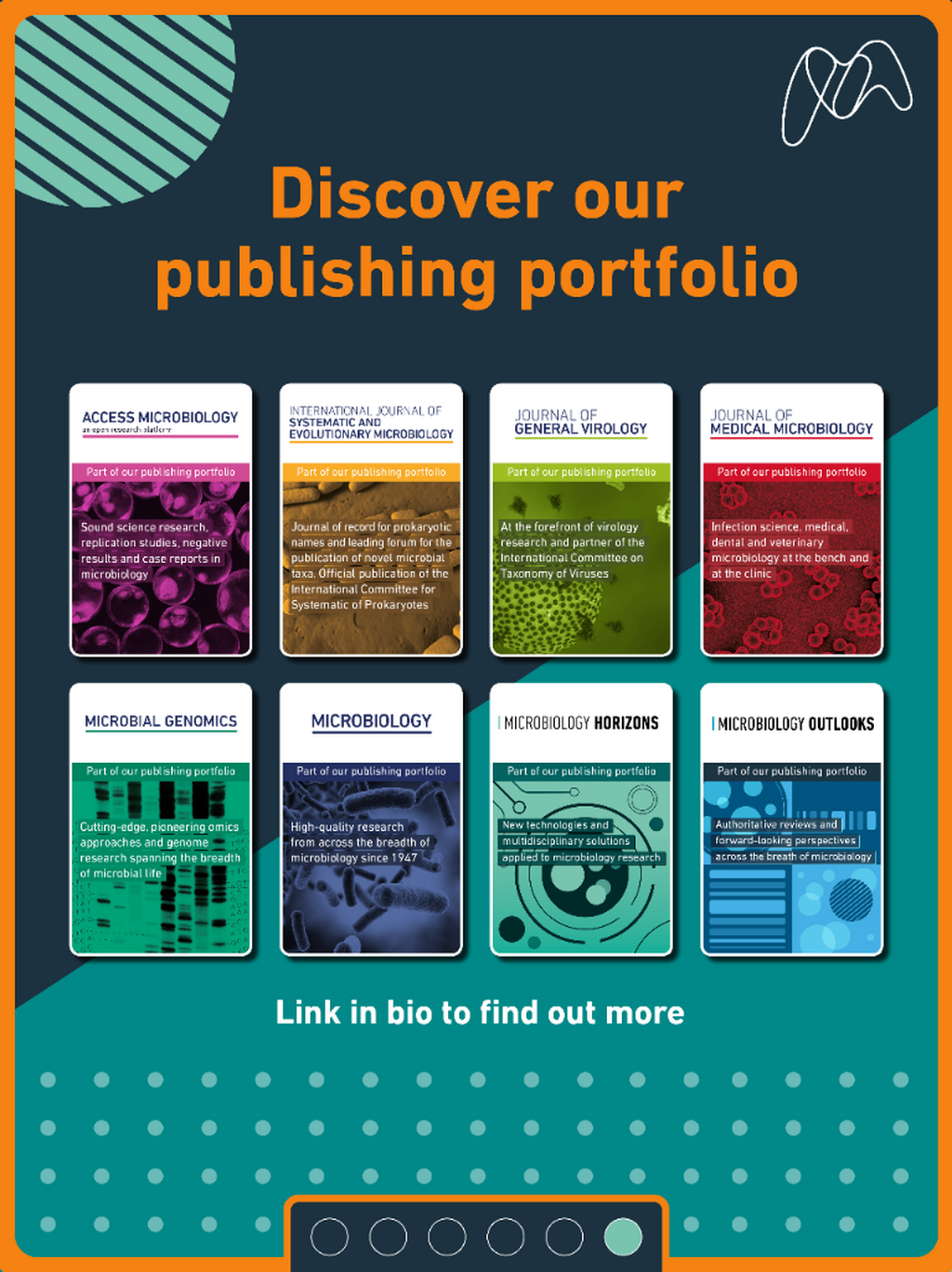 Our Portfolio