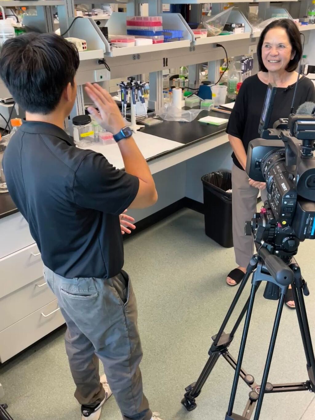 Dr. Sandra Chang on KHON2 News