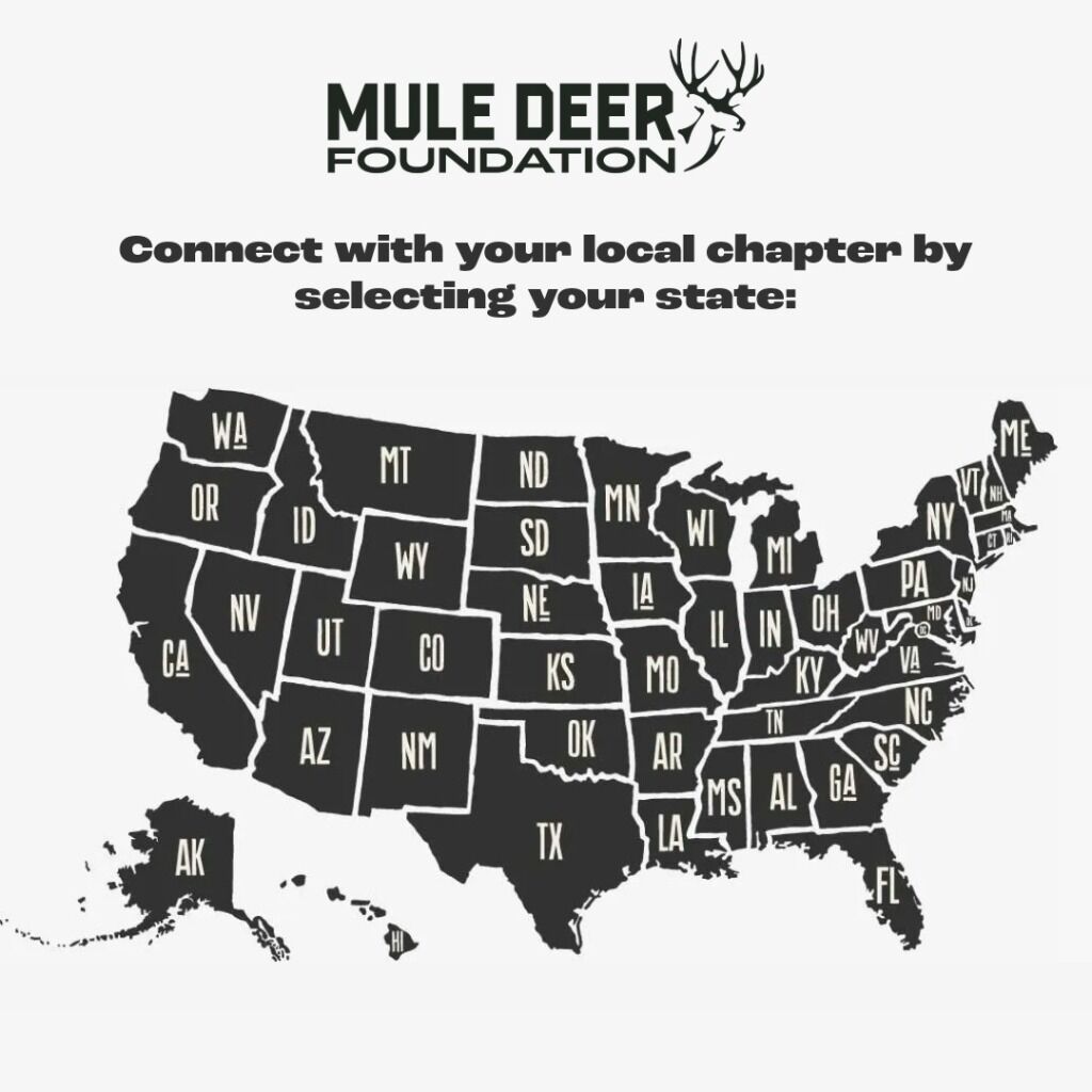 Connect With Your Local Chapter!