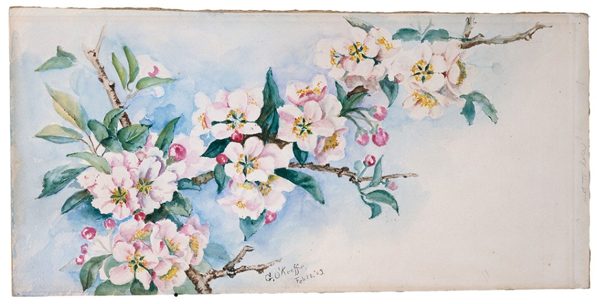 Georgia O'Keeffe. Untitled (Cherry Blossoms), 1903