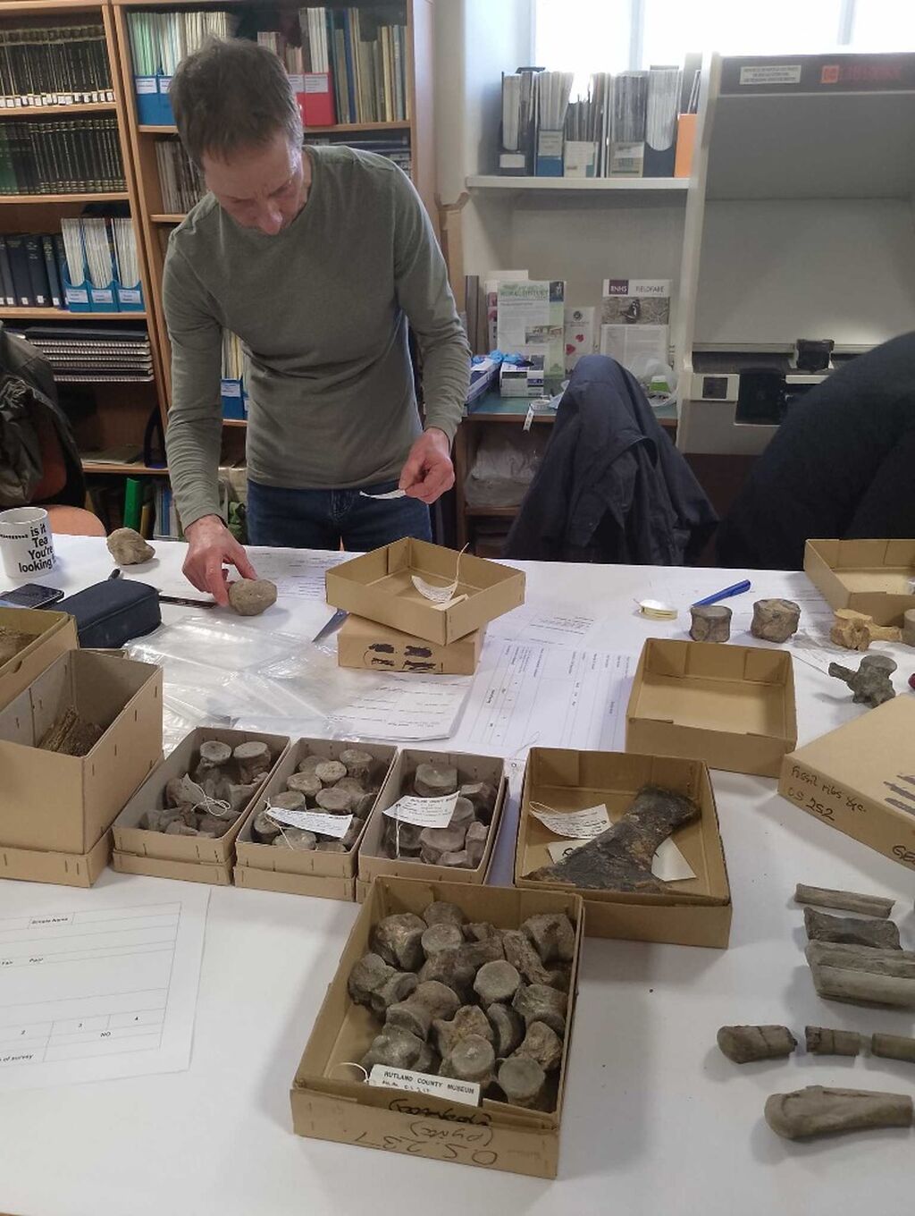 My Rutland County Museum geology conservation work.