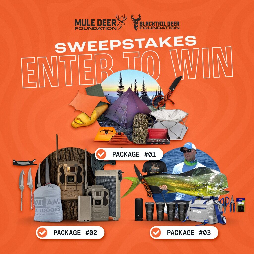 MDF / BDF Spring Sweepstakes 2026