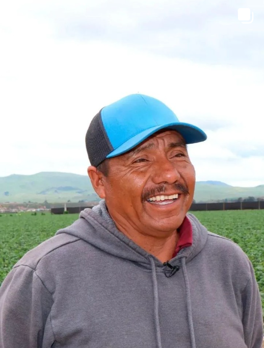 Strawberry Farm Stories​ | Growing Strawberries | California Strawberries