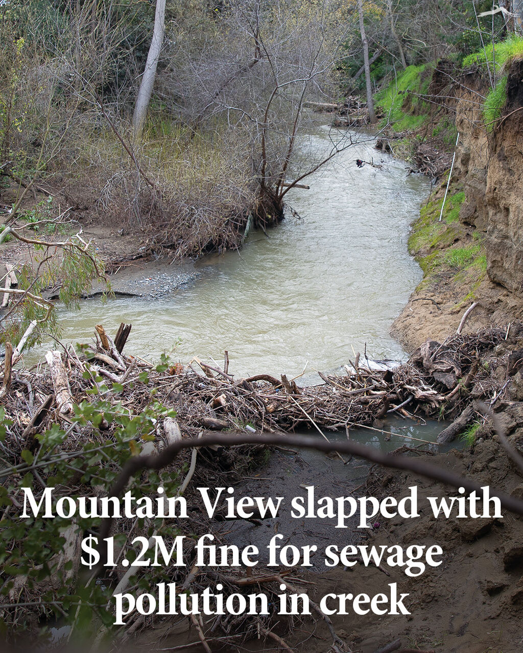 Mountain View slapped with $1.2M fine for sewage pollution in creek
