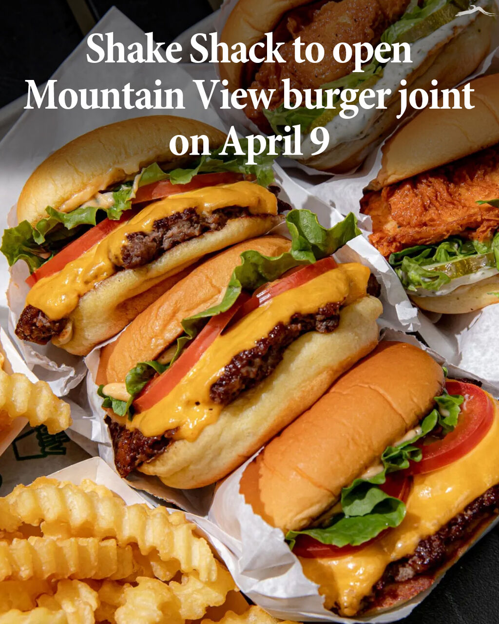 Shake Shack to open Mountain View burger joint on April 9