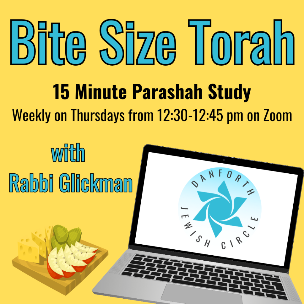 weekly Bite-Size Torah