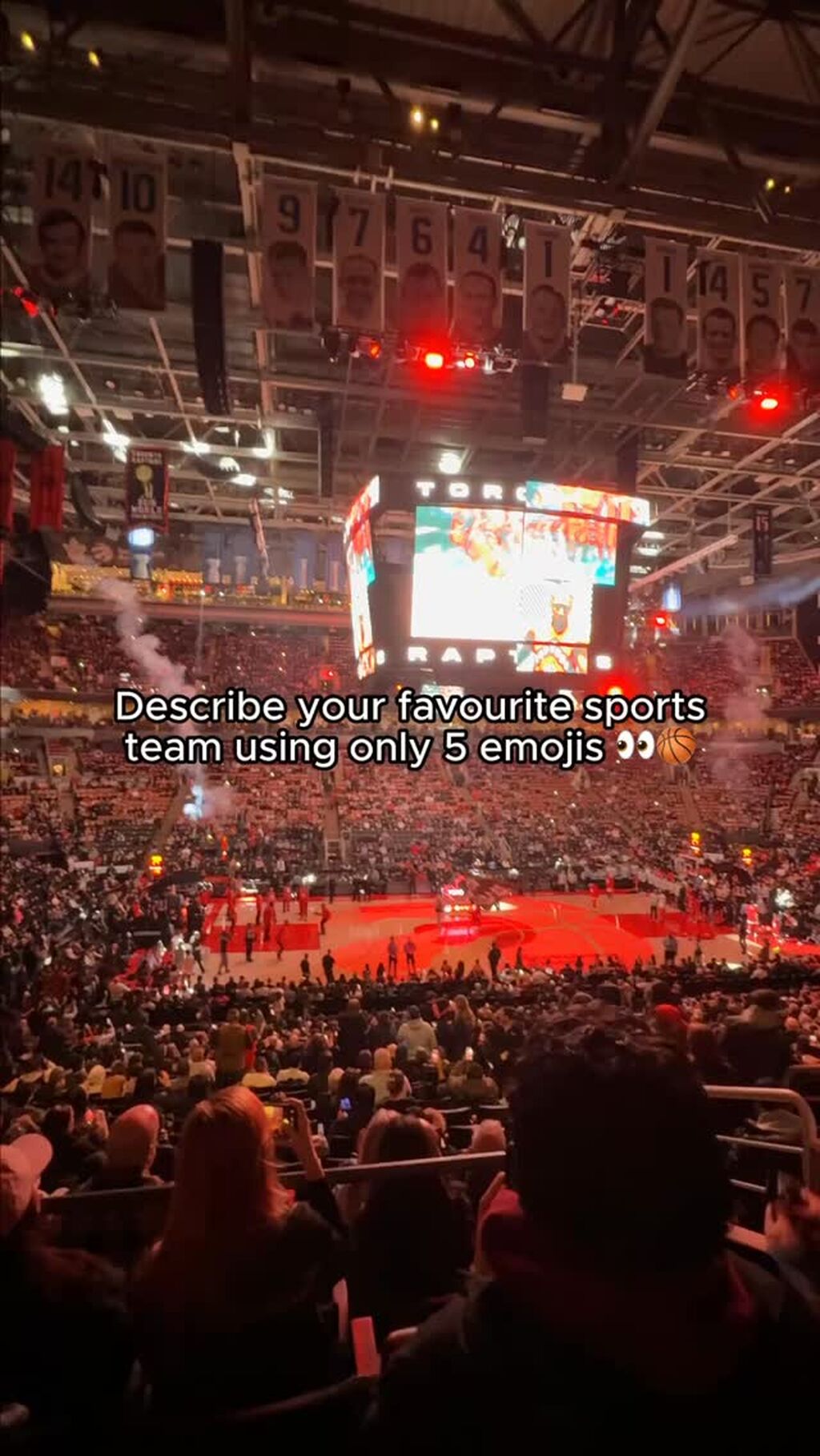 Raptors Fan Access