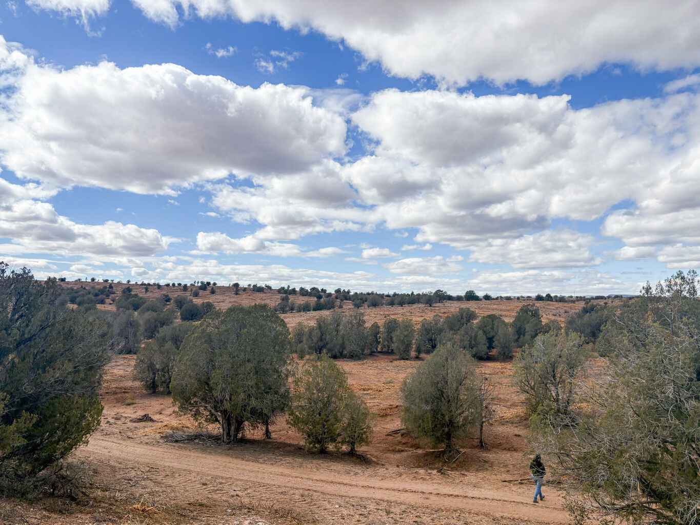 Mule Deer Foundation Receives $500,000 From the Salt River Project to Expand Forest Restoration and Watershed Resiliency in Central Arizona