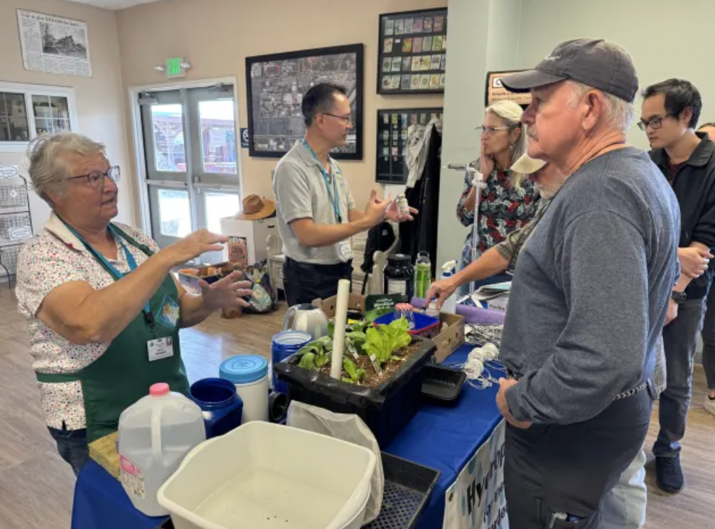 Opening the Door to Gardening in Small Spaces with Hydroponics