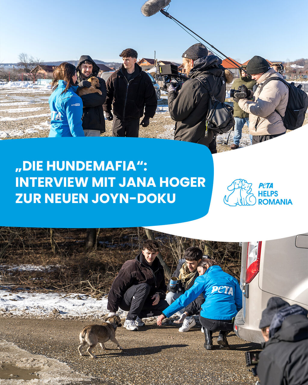 &bdquo;Die Hundemafia&ldquo;: Interview mit Jana Hoger
