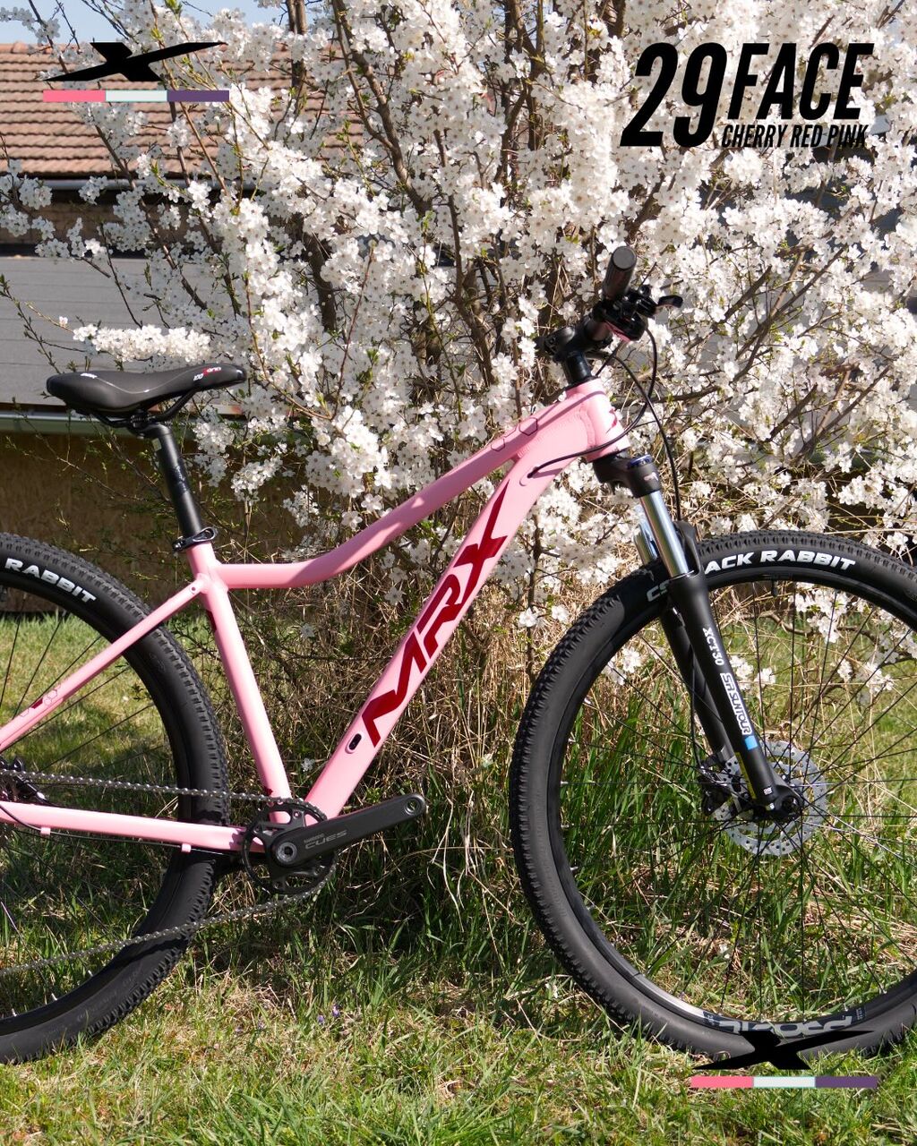 😎 Modely řady SPORT 29" jsou nyn&iacute; dostupn&eacute; tak&eacute; jako d&aacute;msk&eacute; varianty