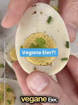Eier &ndash; das Leid der H&uuml;hner in der Eierindustrie