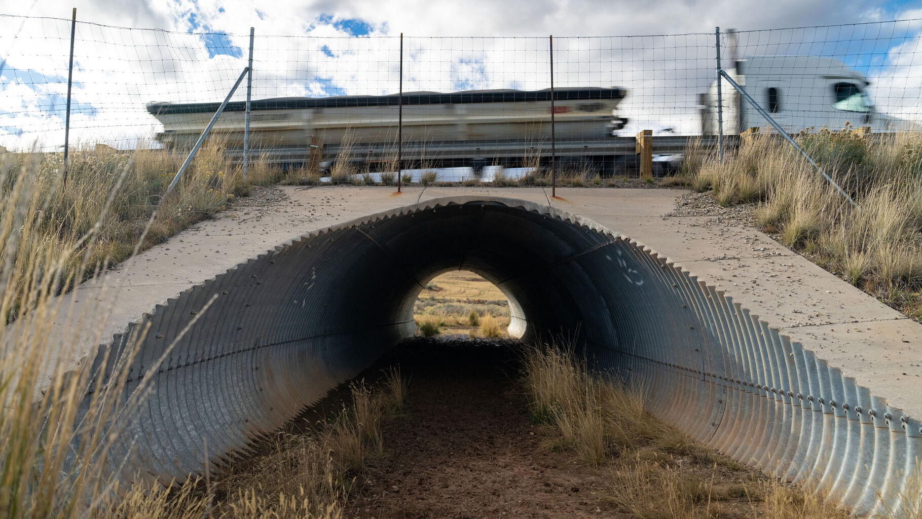 Mule Deer Foundation Applauds Passage of Utah H.B. 431 Supporting Wildlife Crossings and Migration Connectivity&nbsp;