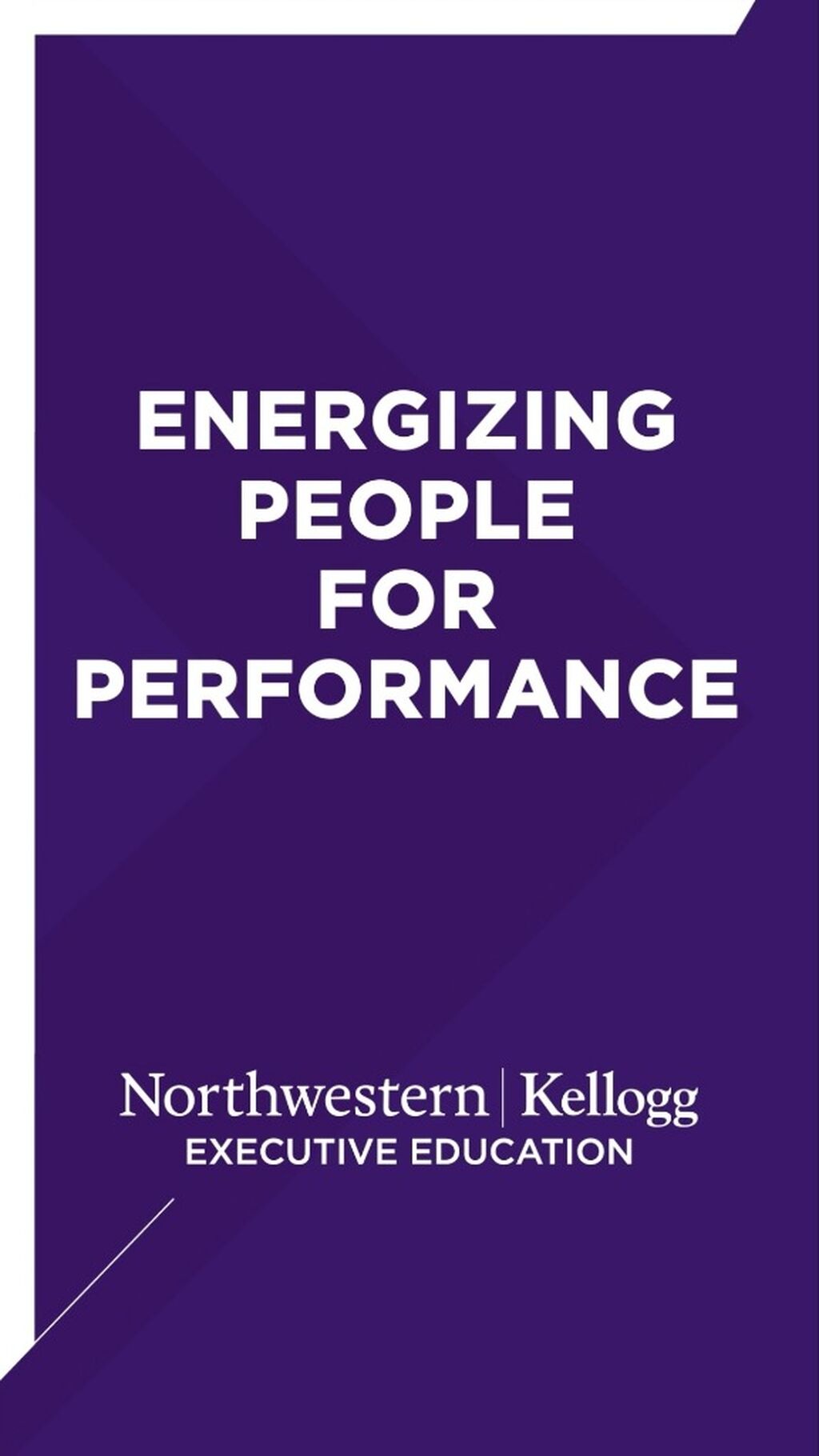 Energizing People for Performance