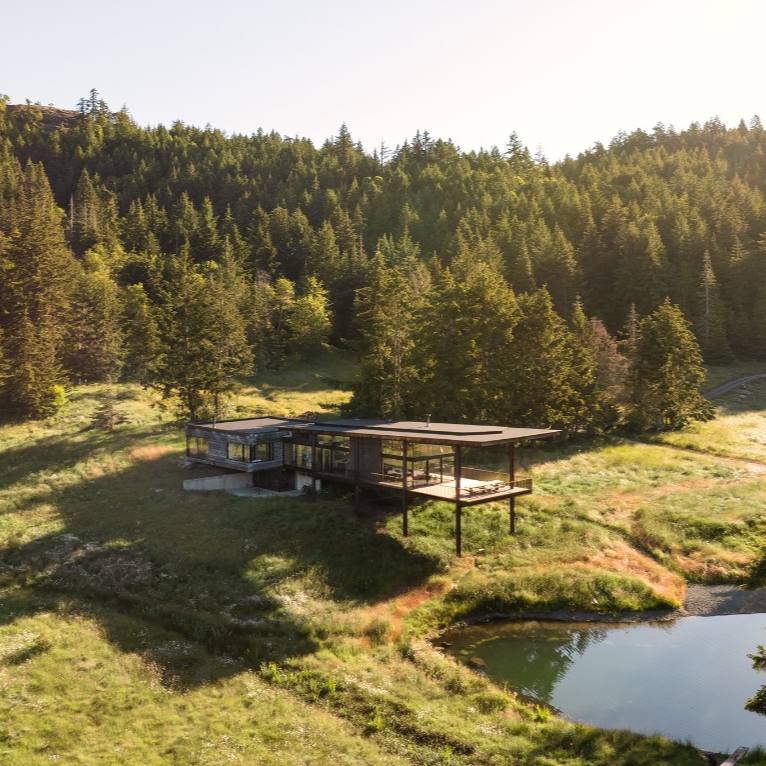 The Daisy Ranch