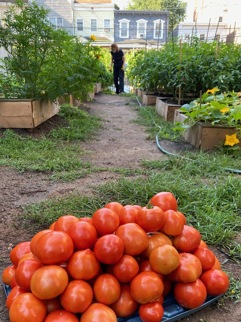 Jersey City Community Group Urges Residents To &lsquo;Save The Migrant Garden&rsquo; Before It&rsquo;s Too Late