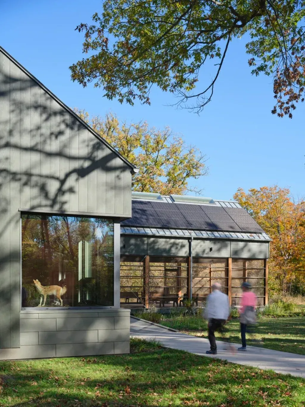 An Ecological Education Center That Goes Beyond Net Zero
