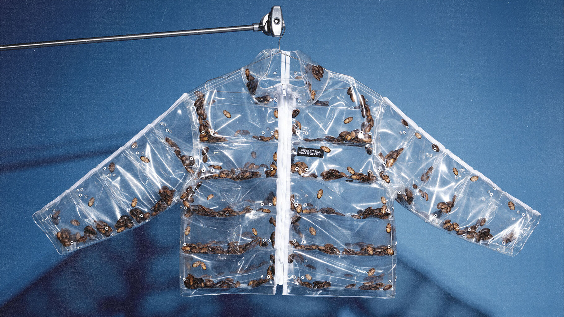 Uncommon NY made a &lsquo;Roachcoat&rsquo; to boost Knicks pride after a Celtics diss