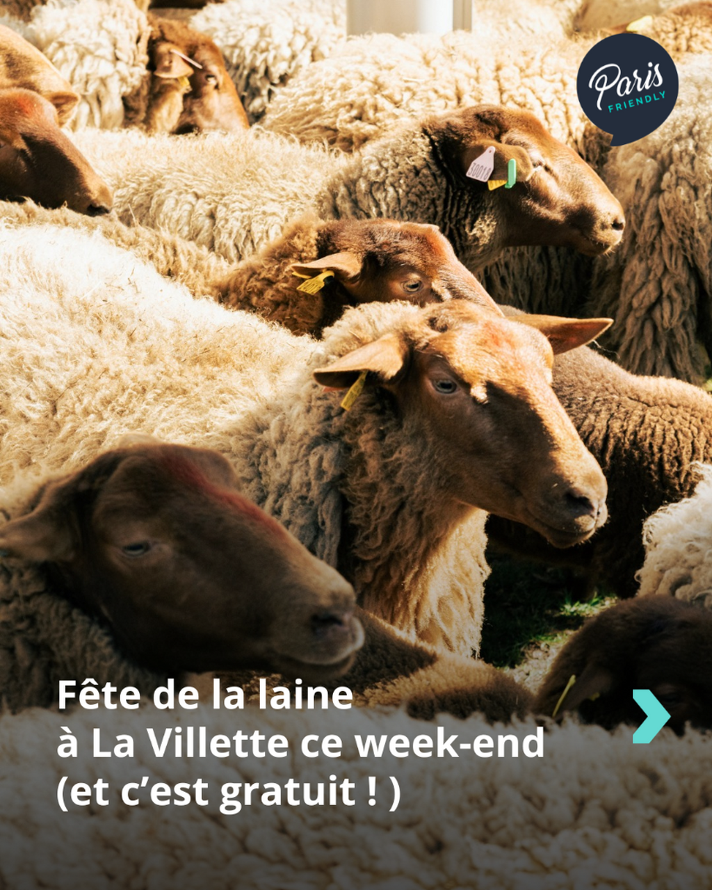 F&ecirc;te de la laine &agrave; La Villette ce week-end (et c&rsquo;est gratuit ! )