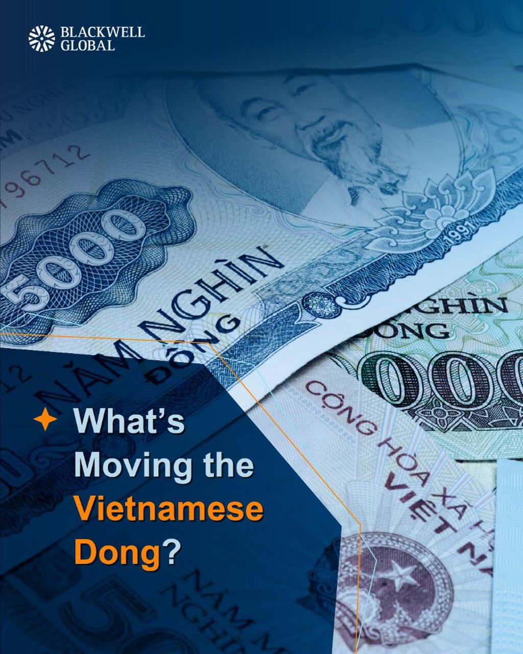 USD/VND Trading Guide for 2026