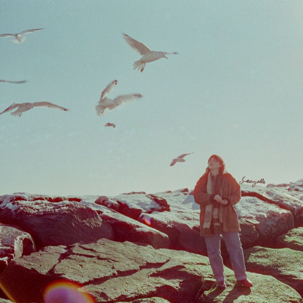 Kelly Schenk "Seagulls"