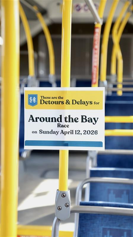 Around the Bay Tour