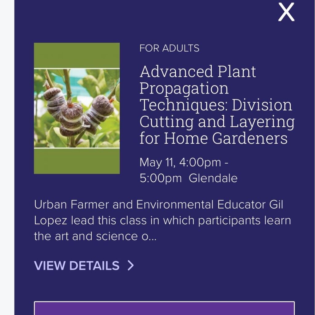 5/11, 4pm | Advanced Plant Propagation Techniques: Division Cutting and Layering for Home Gardeners (Queens Library @ Glendale)