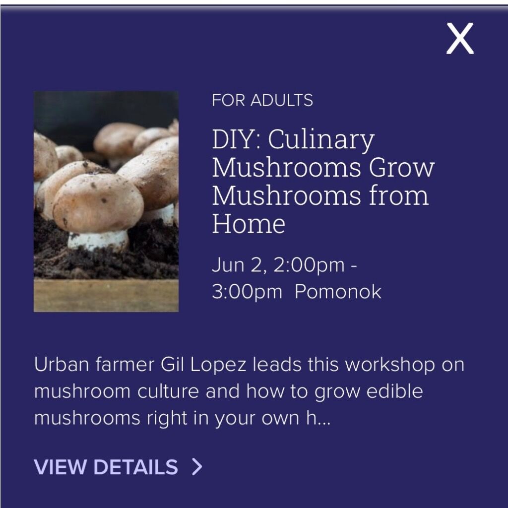 6/2, 2pm | Grow Your Own Culinary Mushrooms at Home (Queens Library @ Pomonok)