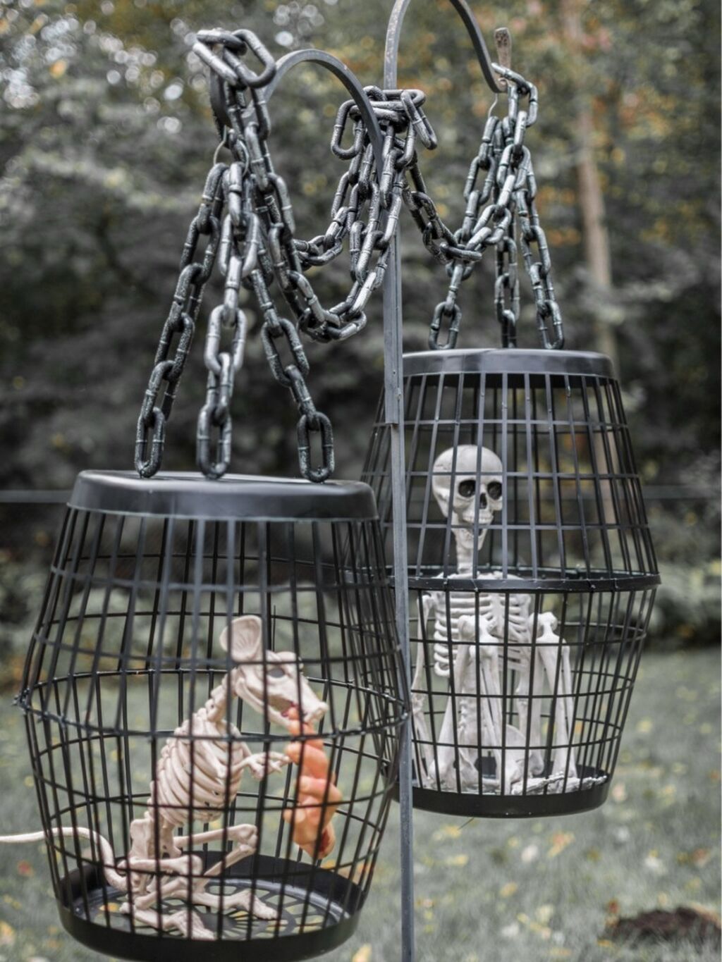 DIY Caged Skeletons