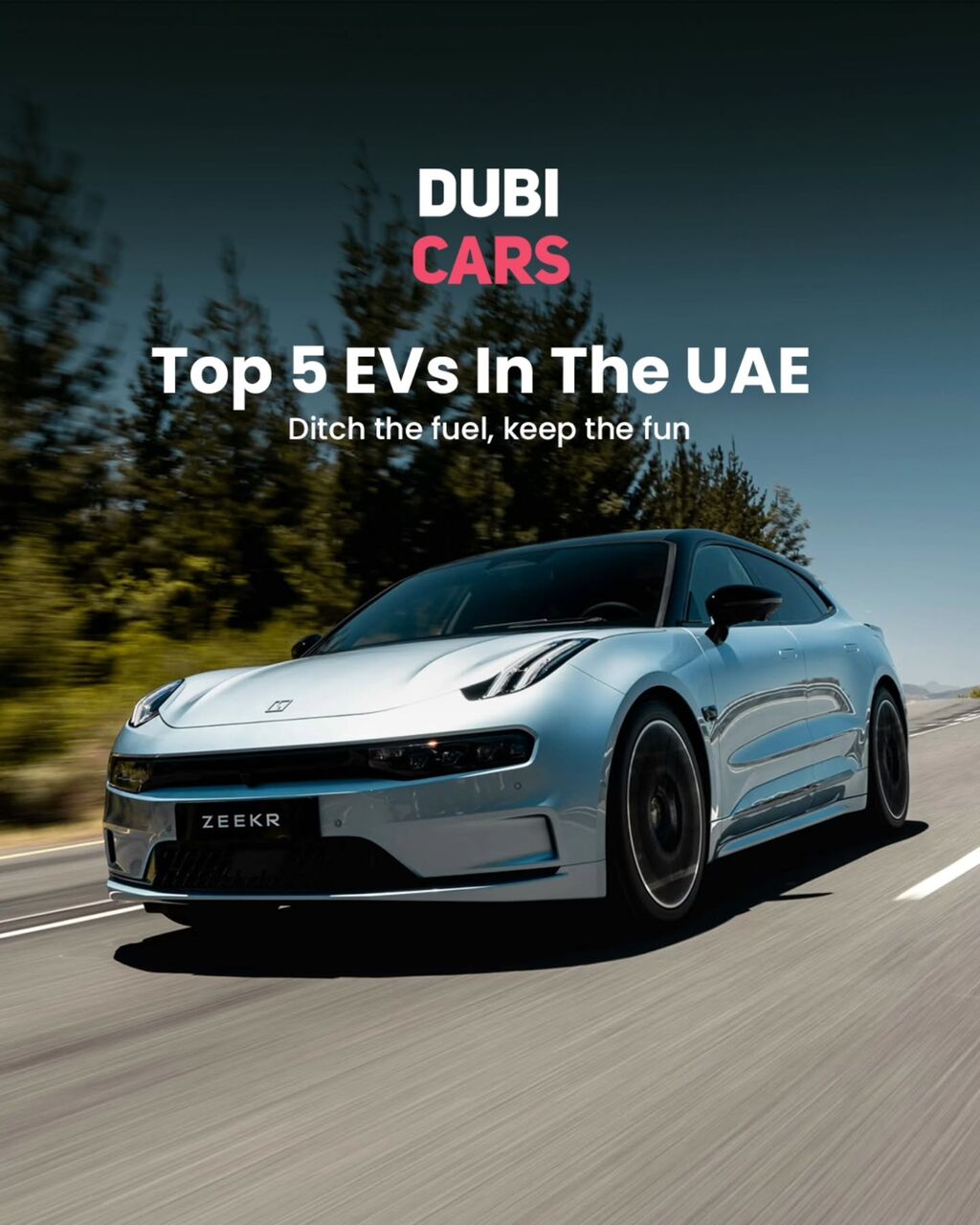Top EVs in the UAE