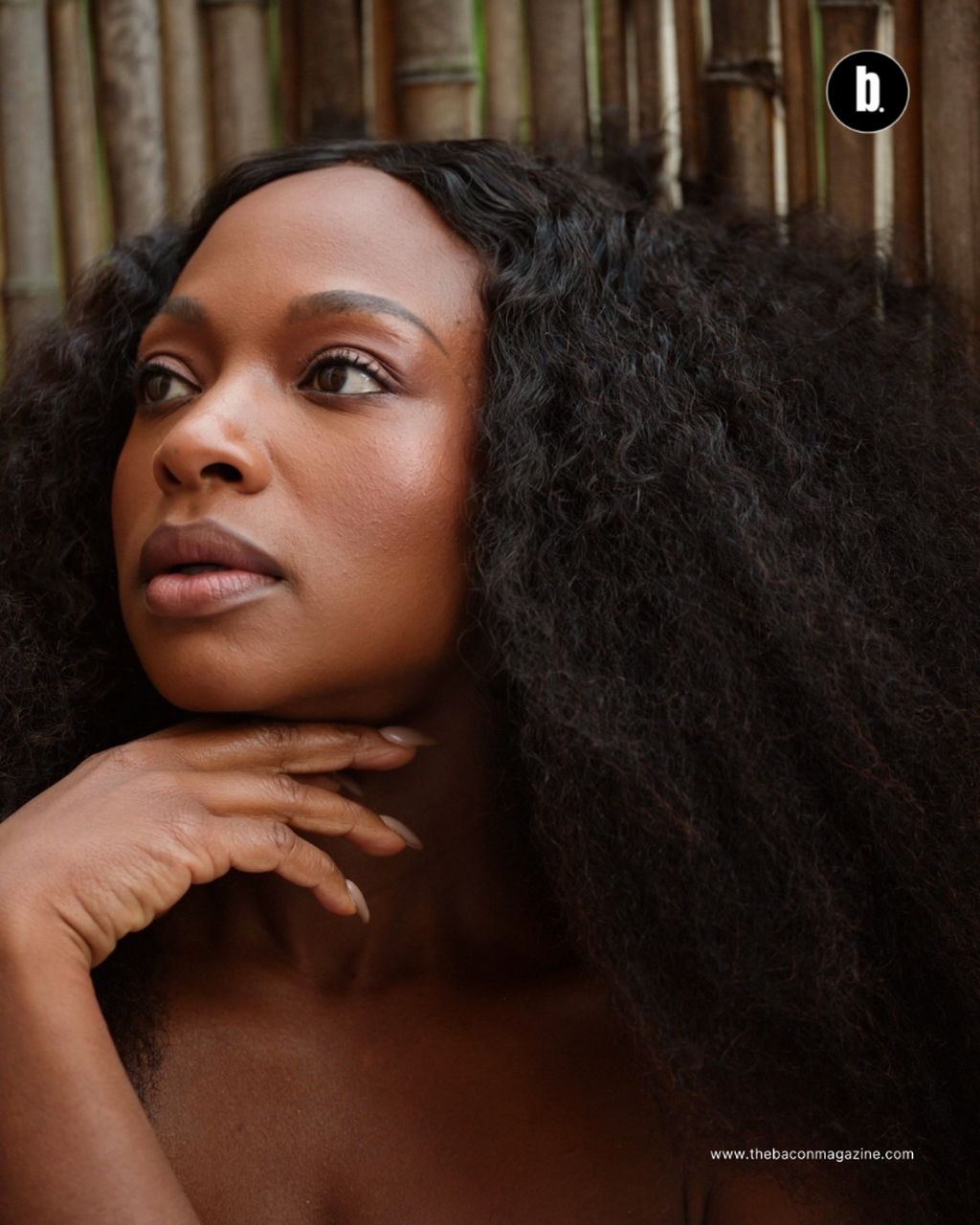 Bacon Magazine Unveils Latest Digital Cover Featuring Naturi Naughton-Lewis