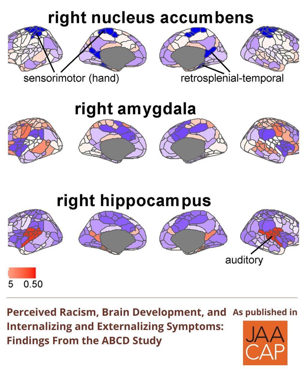 JAACAP 0426 Perceived Racism, Brain Development, and Internalizing and Externalizing Symptoms: Findings From the ABCD Study