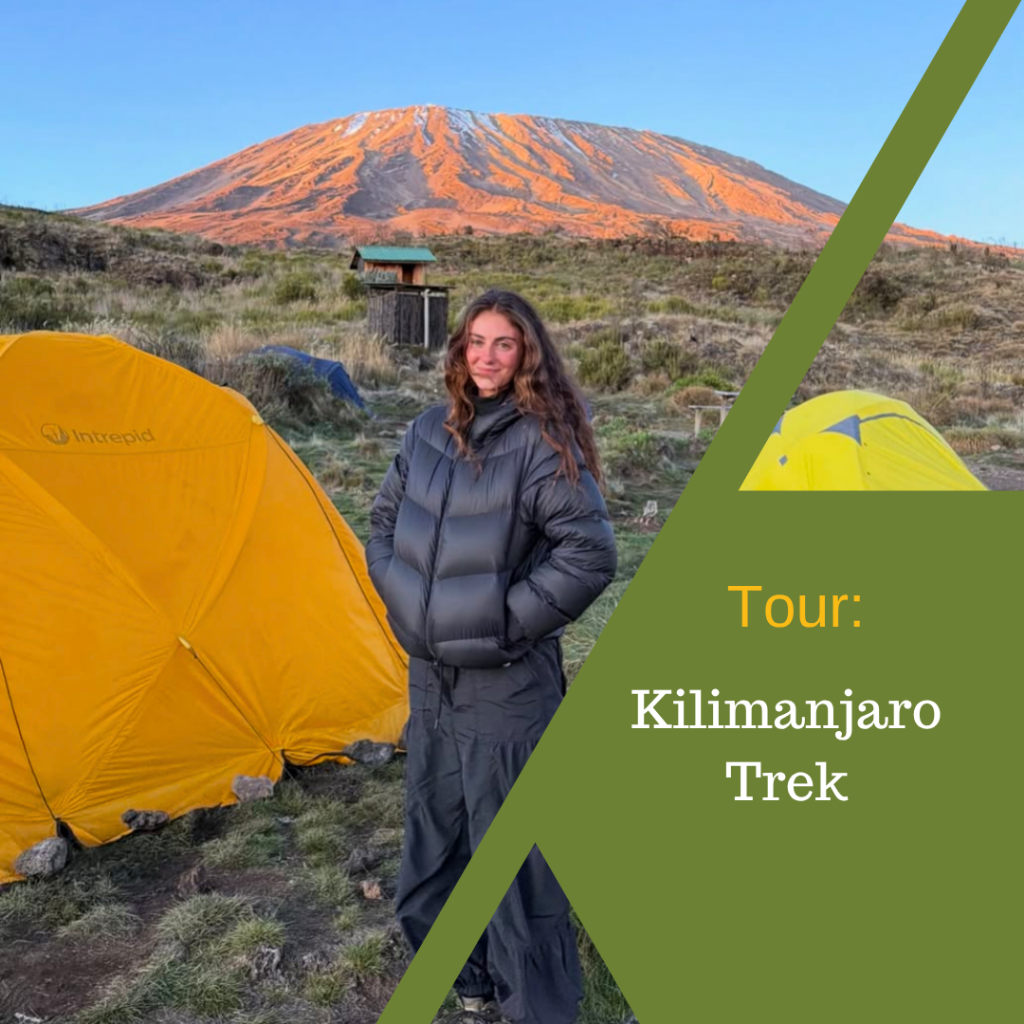 Kilimanjaro Trek