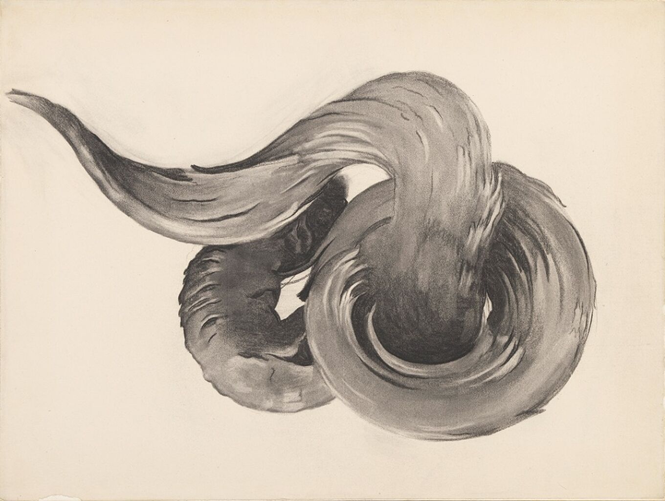 Georgia O'Keeffe, 'Ram's Horns I, ca. 1949.'