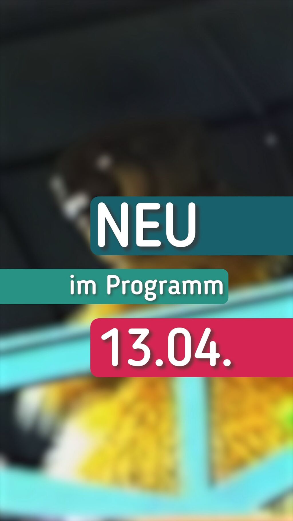 TV-Programm f&uuml;r NRW