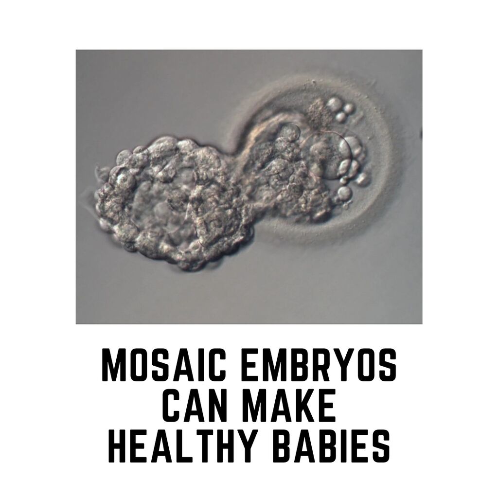 Complete guide to mosaic embryos