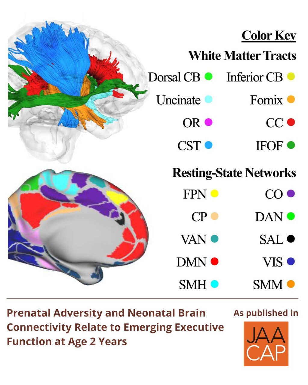 JAACAP 0426 Prenatal Adversity and Neonatal Brain Connectivity Relate to Emerging Executive Function at Age 2 Years