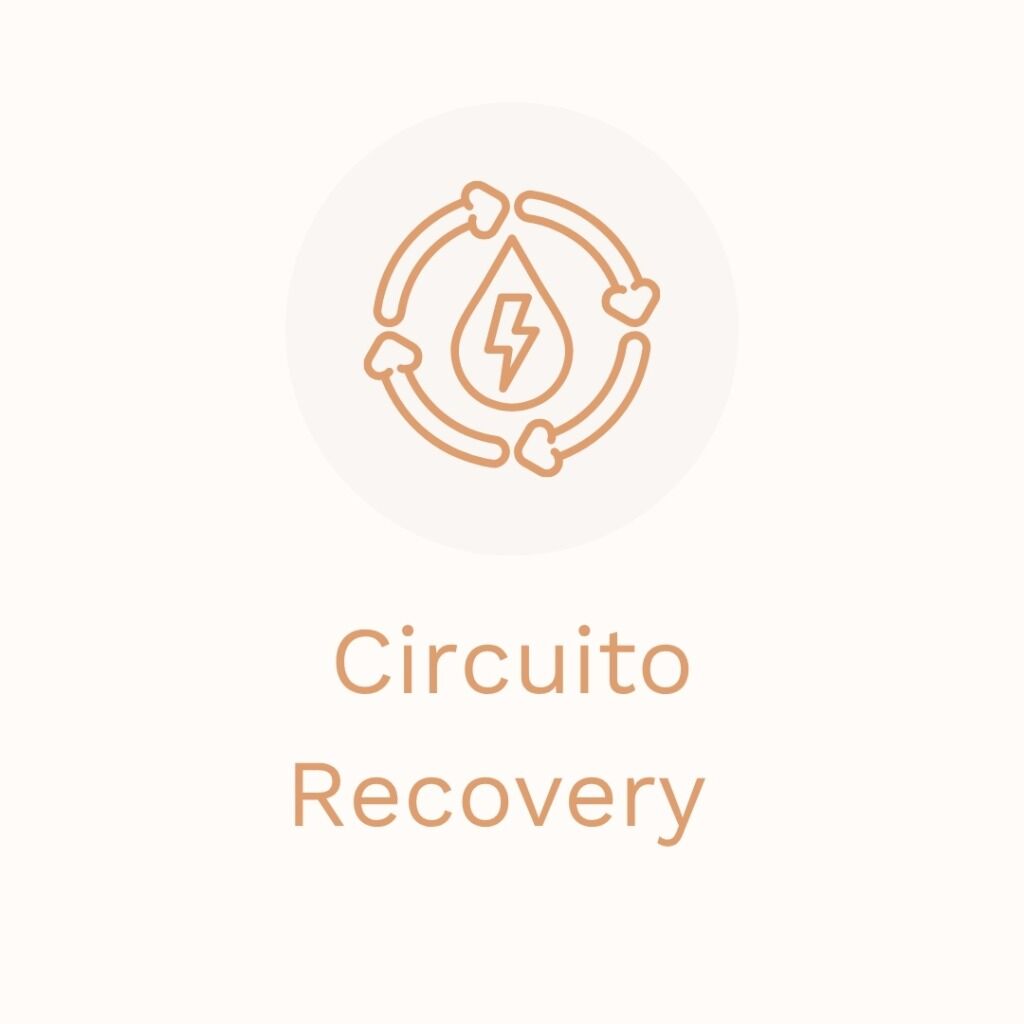 Circuito Recovery
