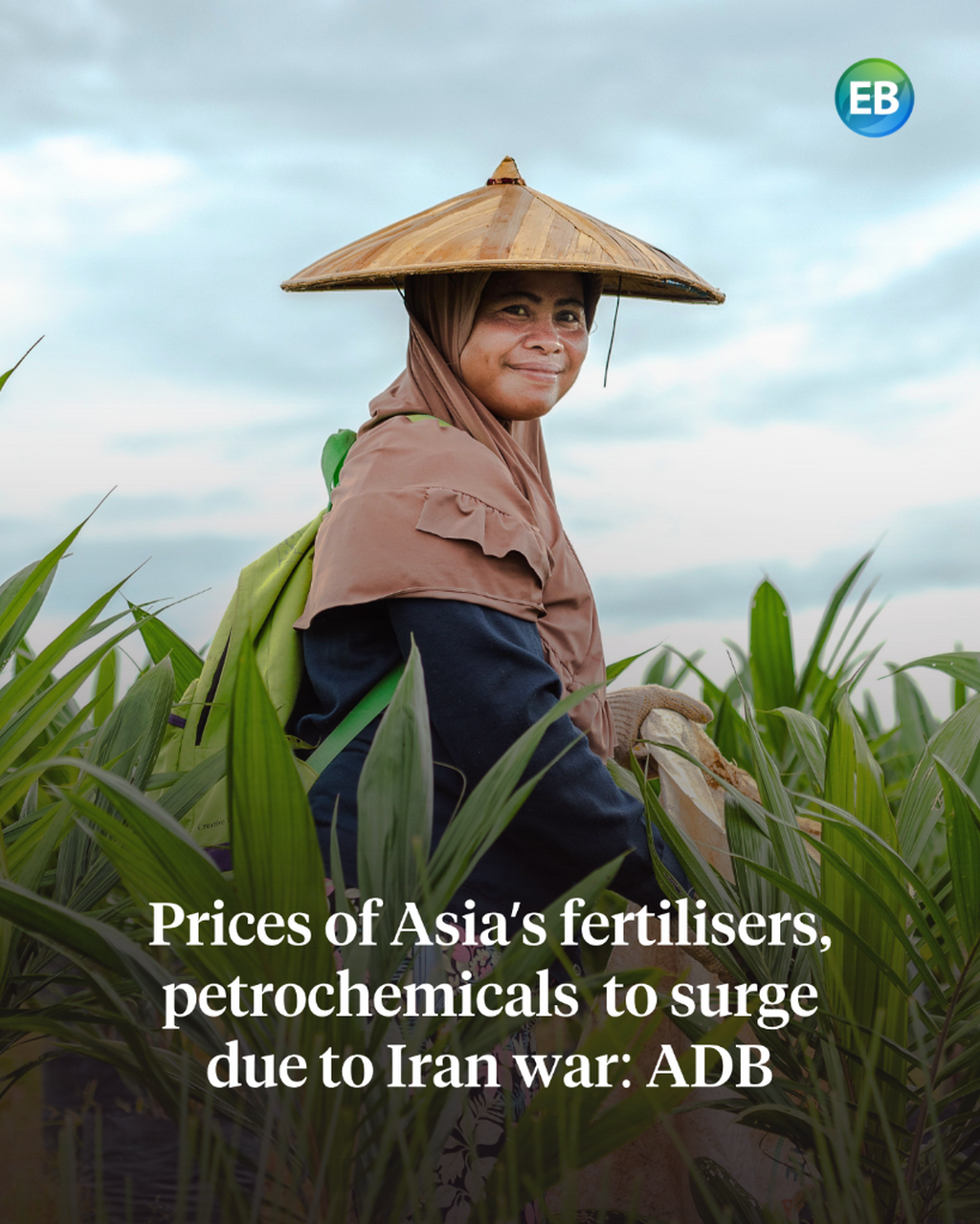 Prices of Asia-Pacific&rsquo;s fertilisers, petrochemicals set to surge on Iran war: ADB