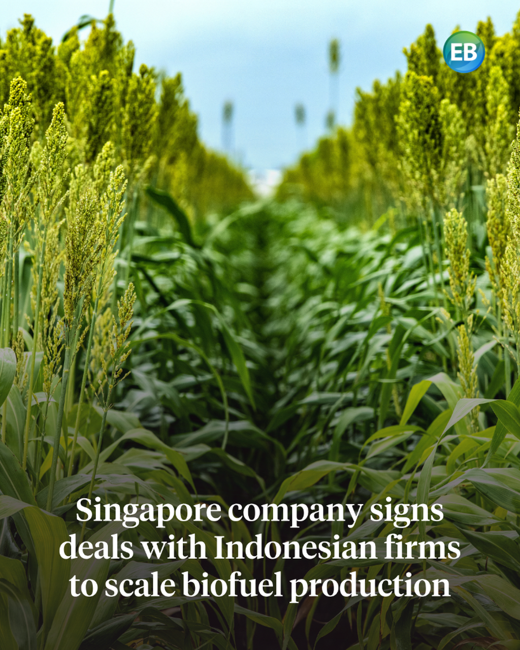 Singapore company signs deals with Indonesian firms to scale biofuel production
