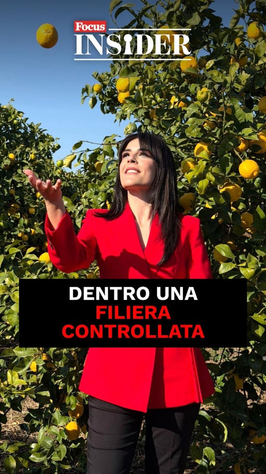 Dentro una filiera controllata