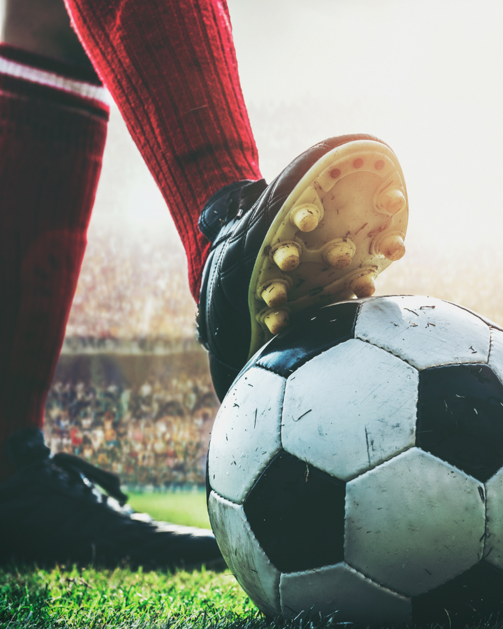 Summer of Soccer VIP Package