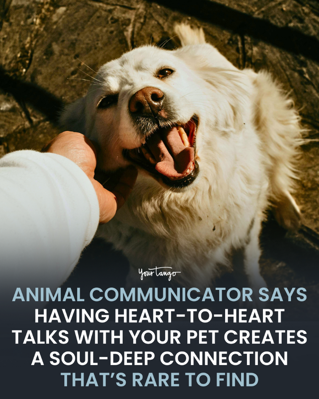 People Who Talk To Their Pets About This Specific Thing Usually End Up With A Soul-Deep Connection That's Rare To Find