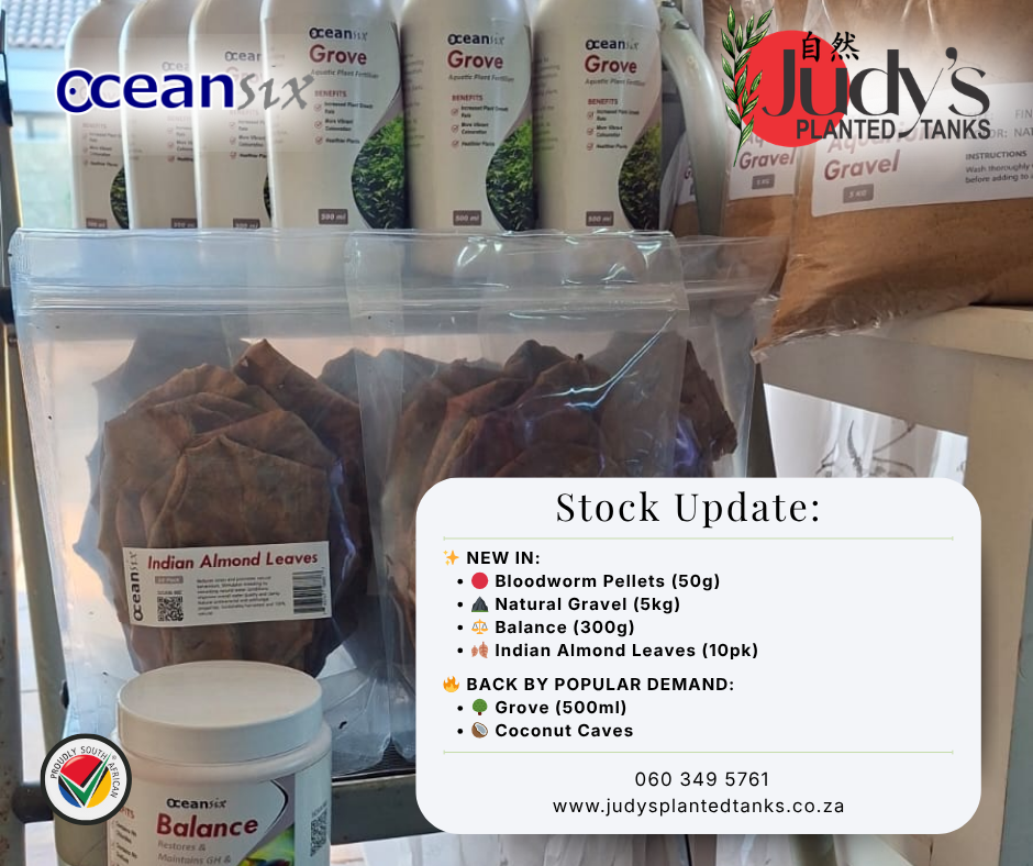 Ocean Six Restock