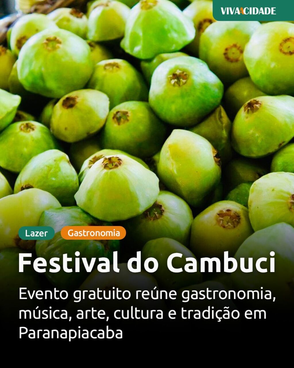 Festival do Cambuci