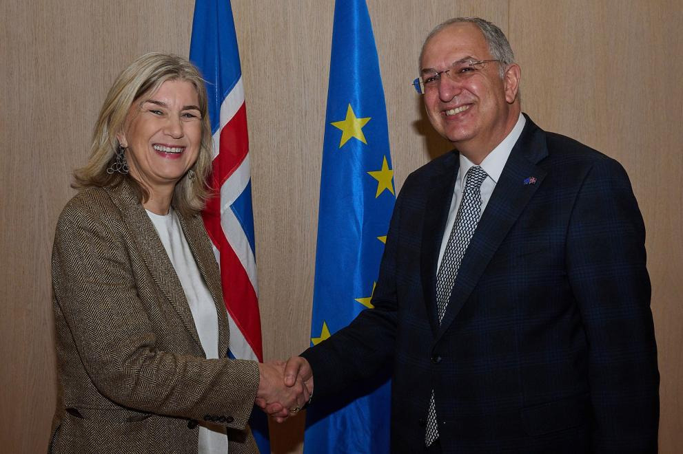 Fr&eacute;ttatilkynning: EU and Iceland advance ocean cooperation at high-level dialogue in Reykjavik